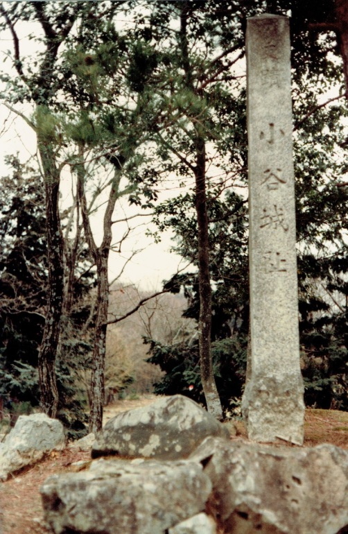 alt