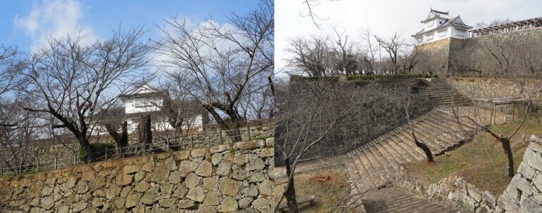 津山城、枯れ木、遺構