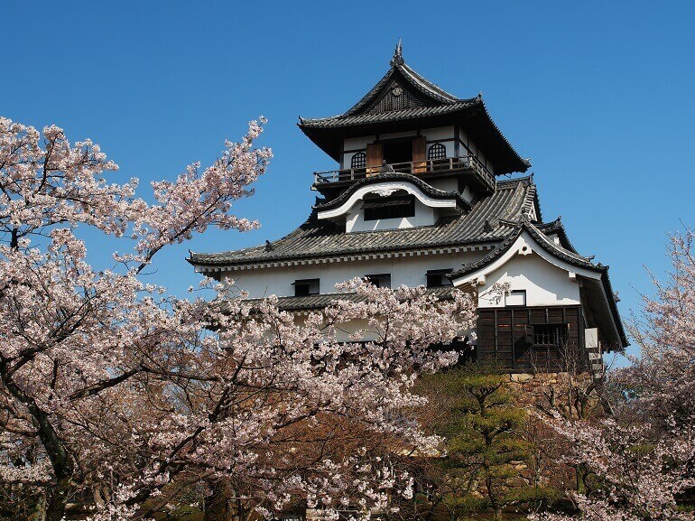 犬山城、天守、桜