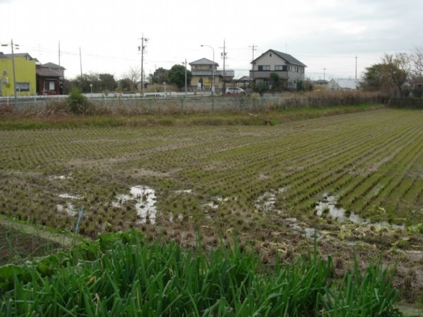 勝幡城址
