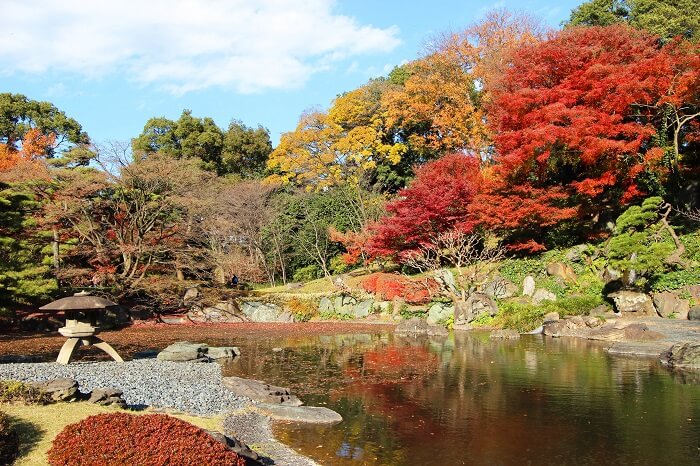 東御苑二の丸庭園、江戸城、回遊式庭園、紅葉