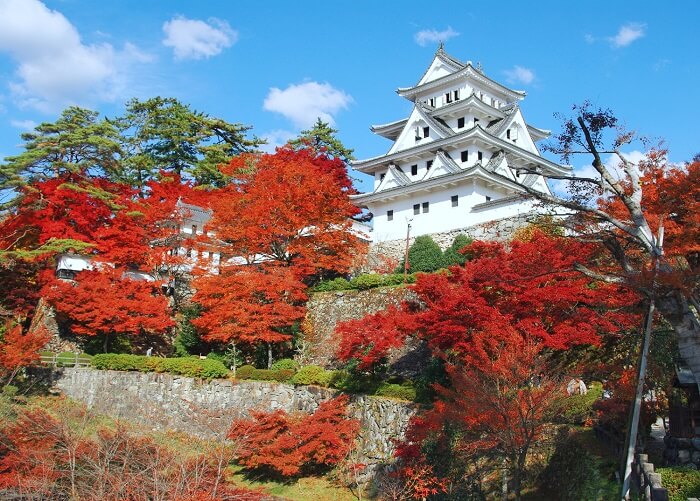 郡上八幡城、松の丸、モミジ、紅葉