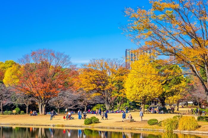 江戸城、北の丸公園、紅葉