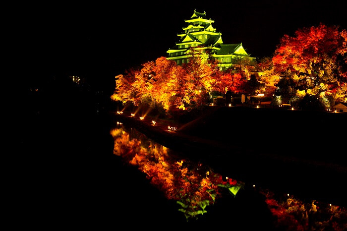 岡山城、ライトアップ、紅葉