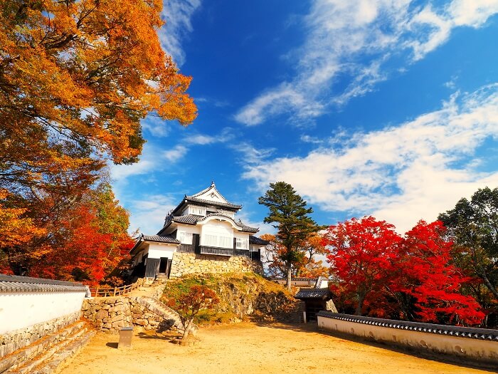 備中松山城、紅葉、雲海