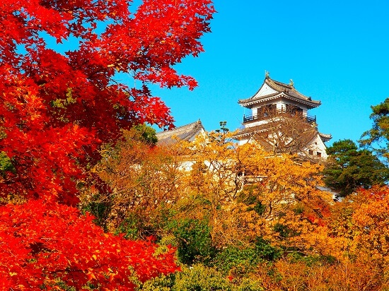 高知城、追手門、天守、紅葉