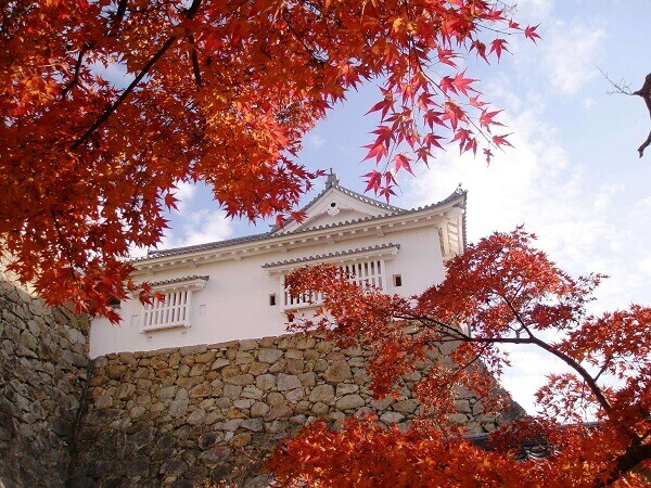 津山城、石垣、紅葉
