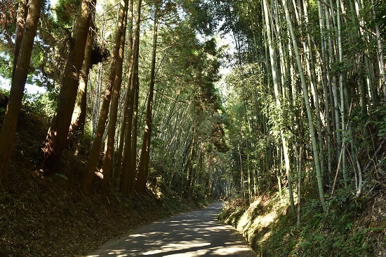 田原坂、加藤清正