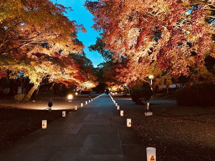 細川刑部邸紅葉ライトアップ