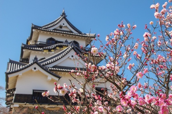 春の花とお城