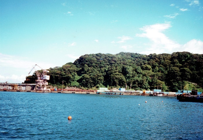 金ヶ崎城全景