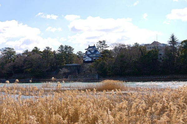 吉田城（愛知県豊橋市）の発掘調査 1