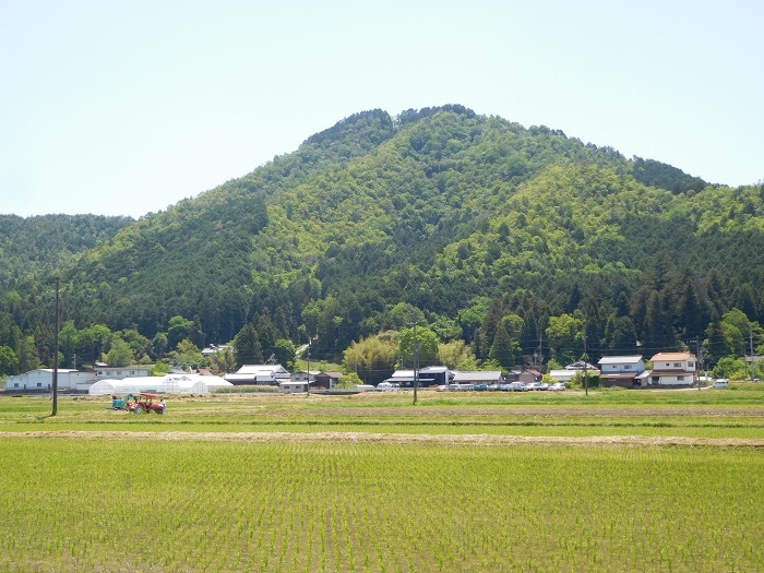 八上城全景