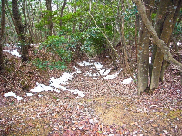 城歩き編 第17回 堀の役割と種類を見てみよう