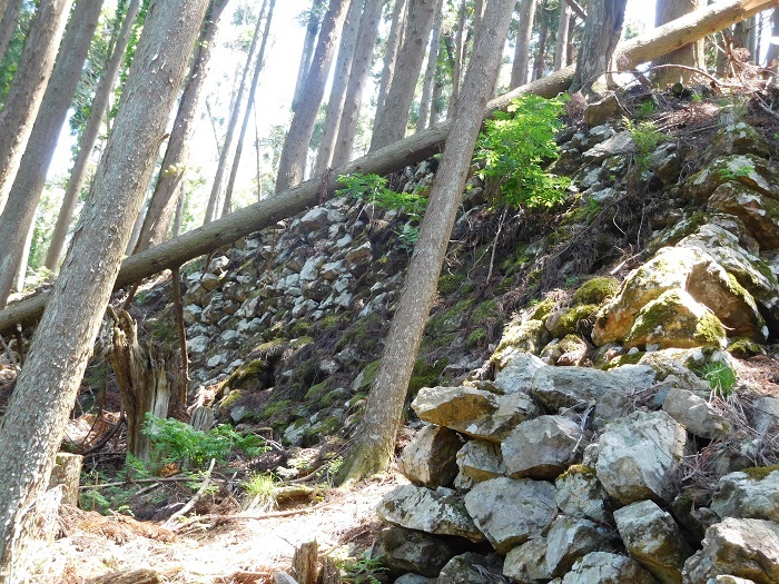 本丸西側の石垣