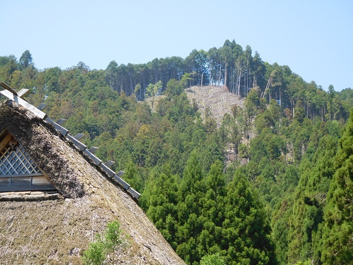 麓から山上を望む