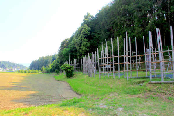 長篠の戦い