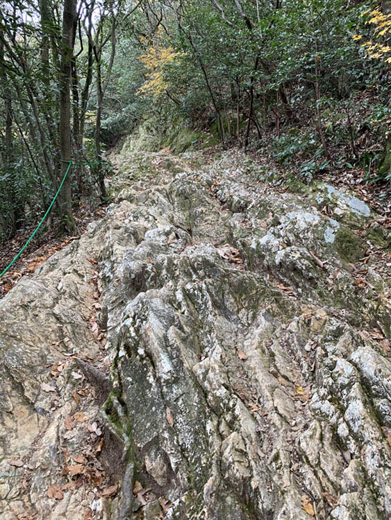 岐阜城、百曲口登山道