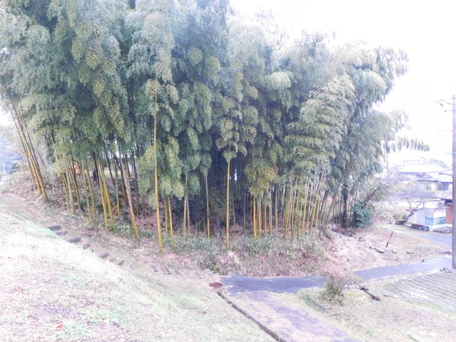 明智城、竹の越