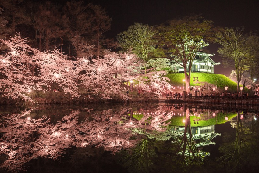 高田城、夜桜