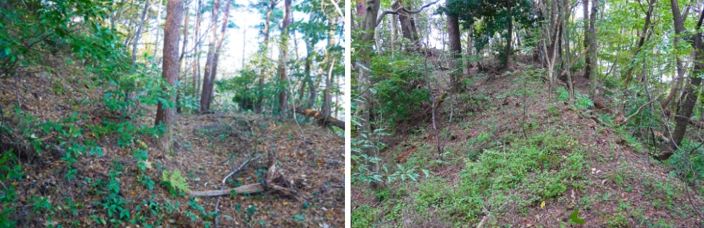 十万寺城、横堀、竪土塁