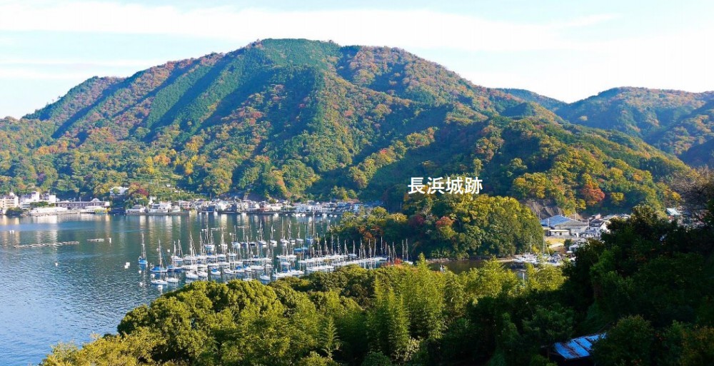 長浜城跡