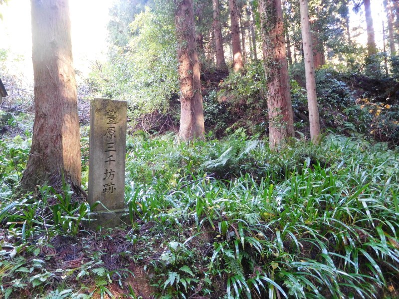越前一向一揆、豊原三千坊跡