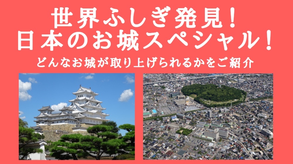 ふしぎ 発見 今日 世界