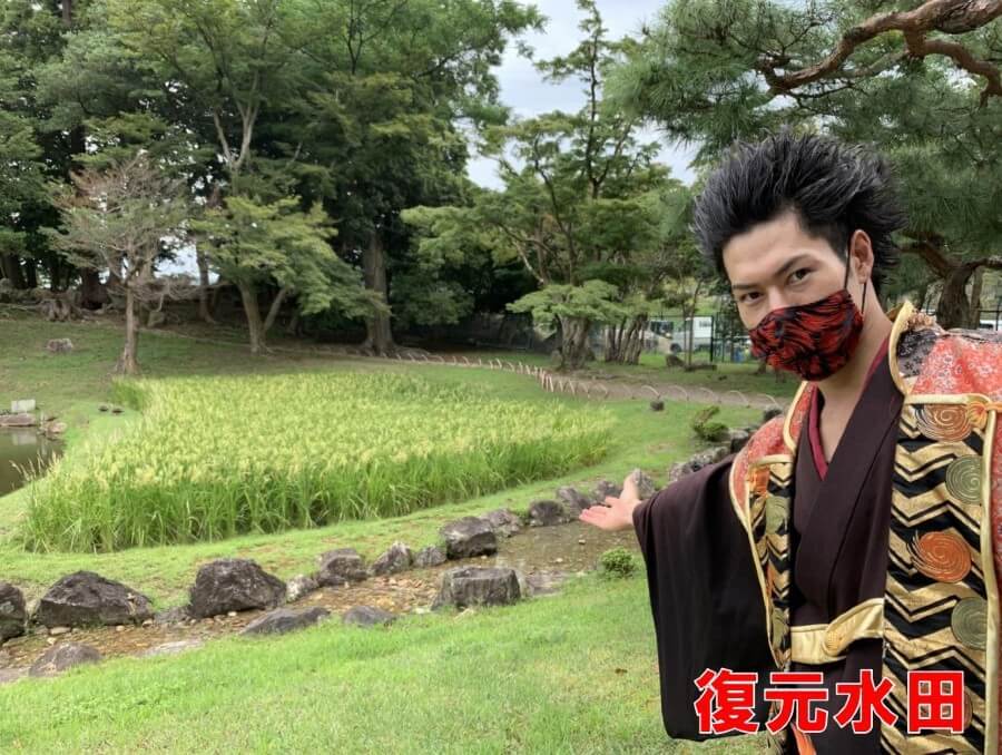 彦根城、玄宮園、復元水田