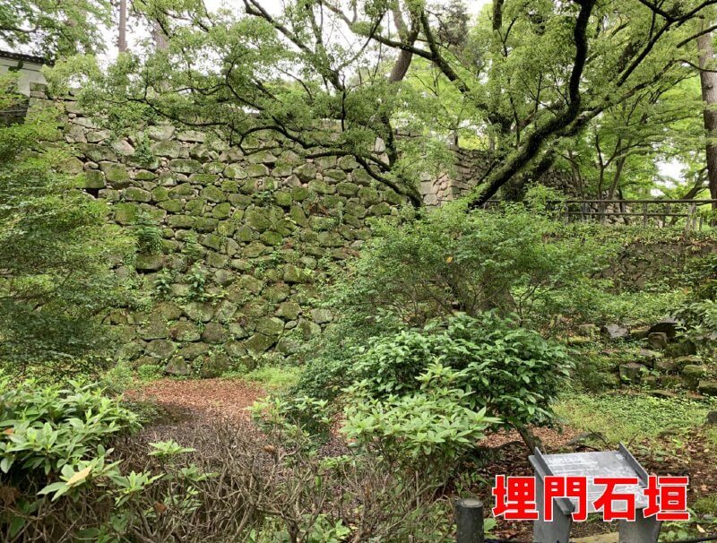 岡崎城、本丸埋門北袖石垣
