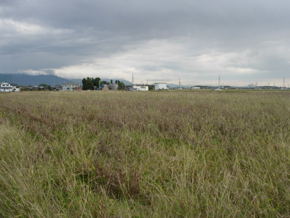 肥田城址