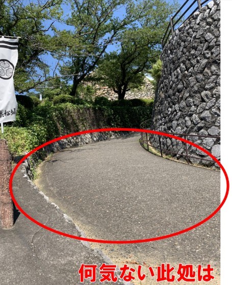 浜松城、鉄門と枡形虎口