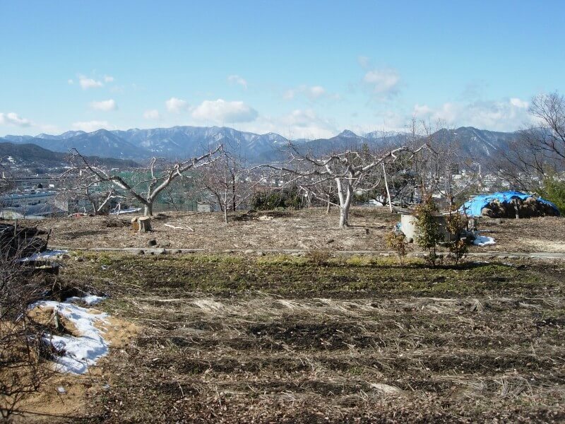 上田城の戦い、染屋台
