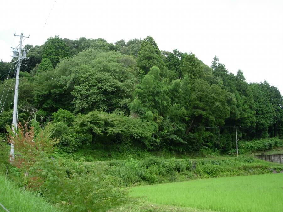 医王寺城