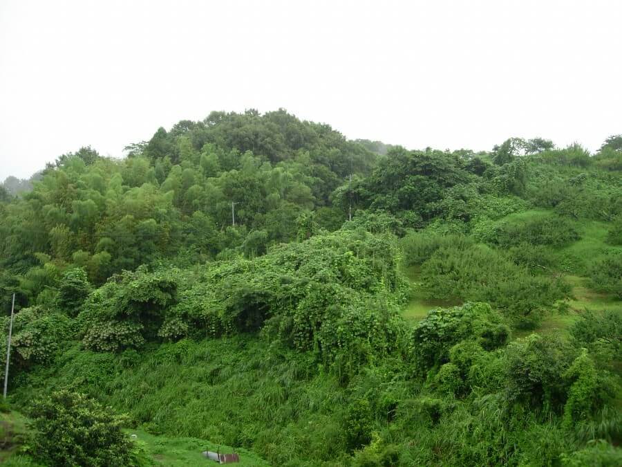 鳶ヶ巣山砦
