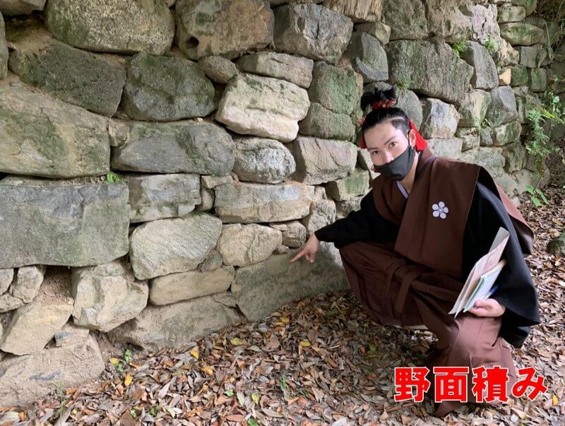 西尾城、石垣、野面積み