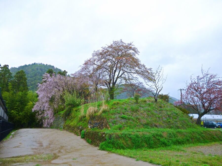 聚楽第址、御土居長坂口