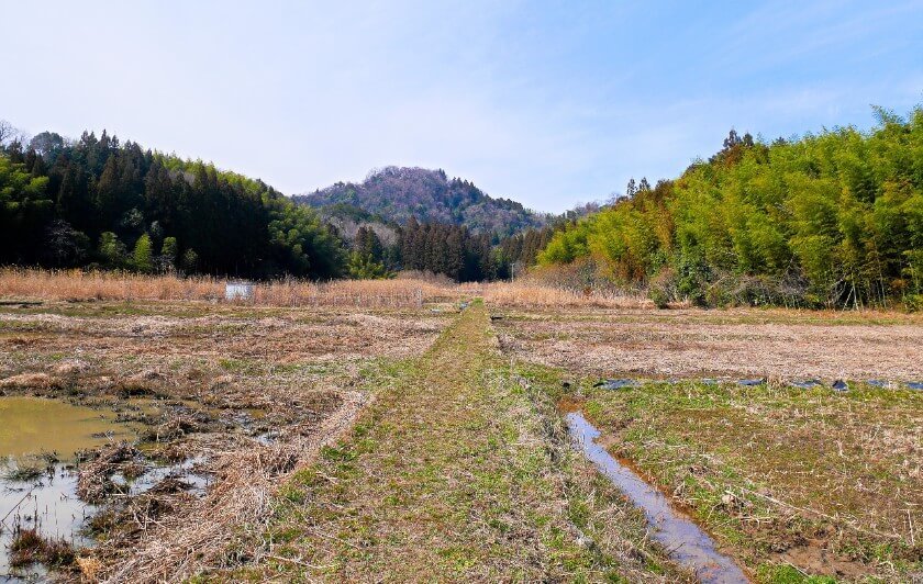 佐和山城、大手口