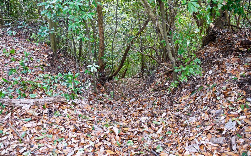 佐和山城、竪堀