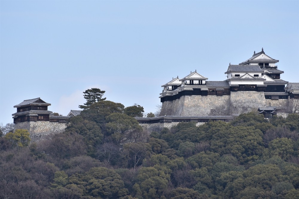 松山城、Castle of the Year 2022