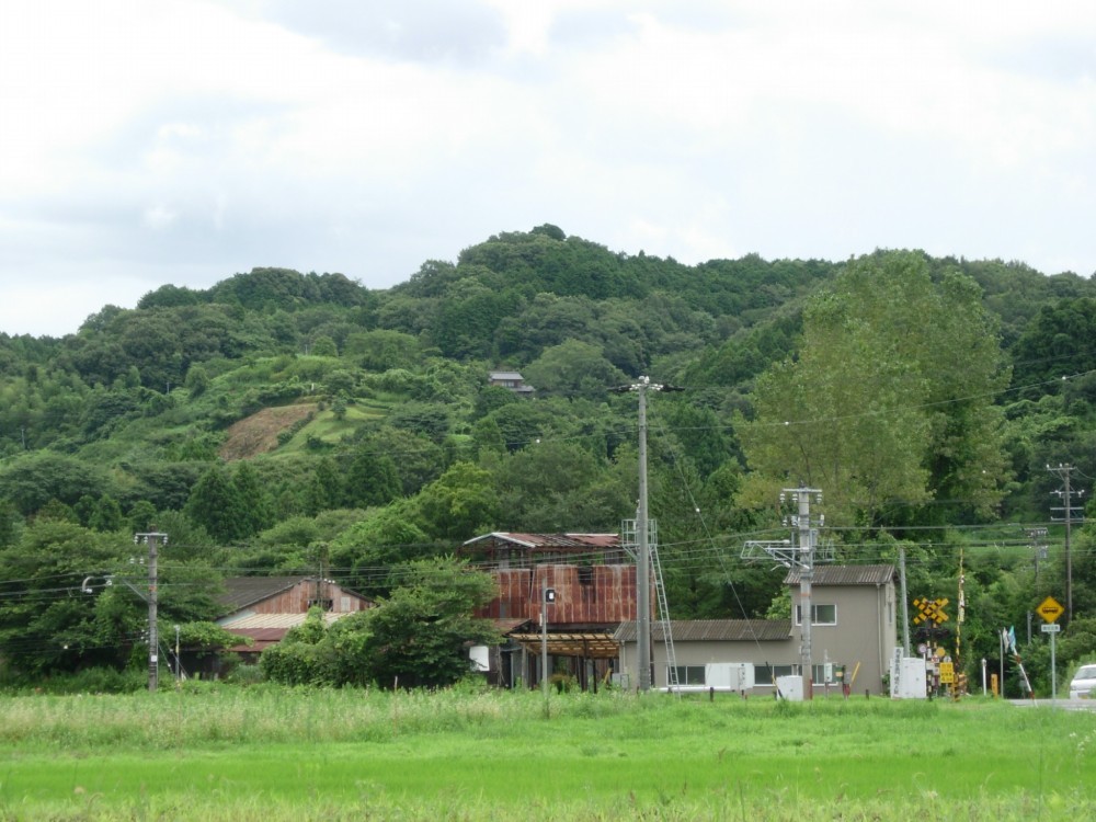 鳶ヶ巣山砦全景