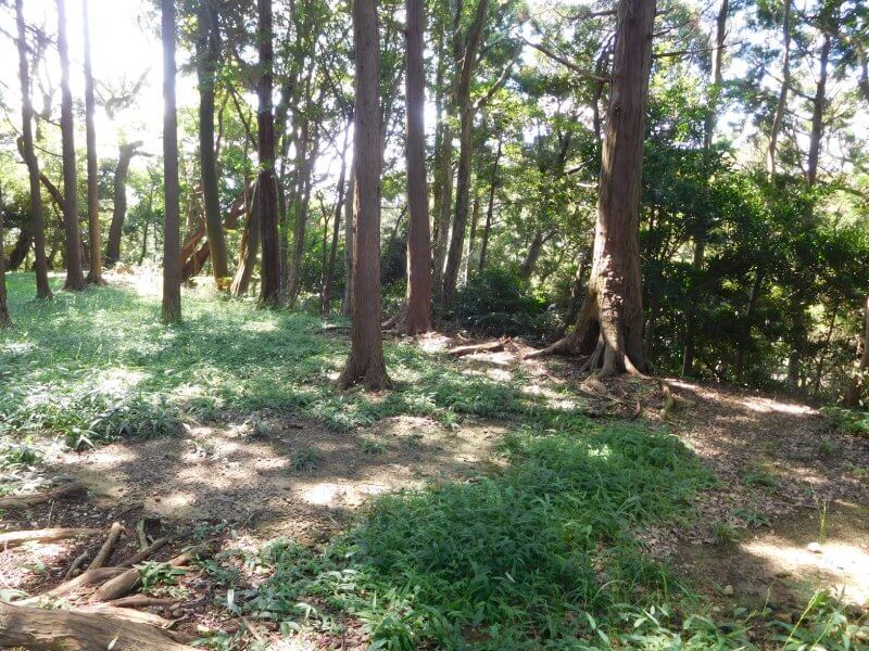 高天神城、的場曲輪