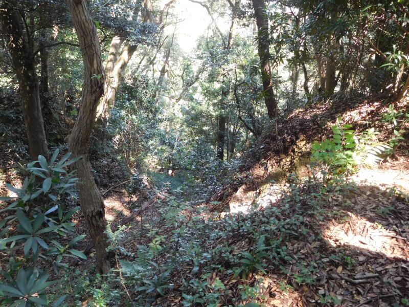 高天神城、堂の尾曲輪