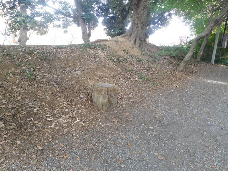 館林城、八幡曲輪土塁