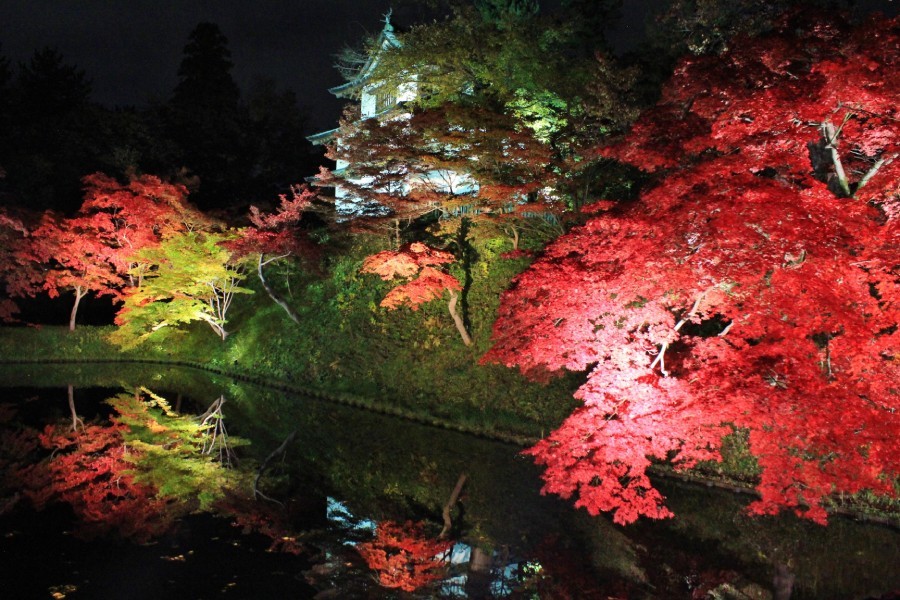 弘前城菊と紅葉まつり