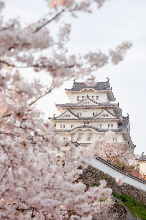 お城EXPO2024,城びと