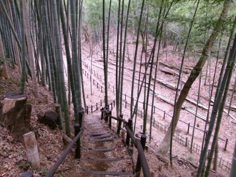 小机城