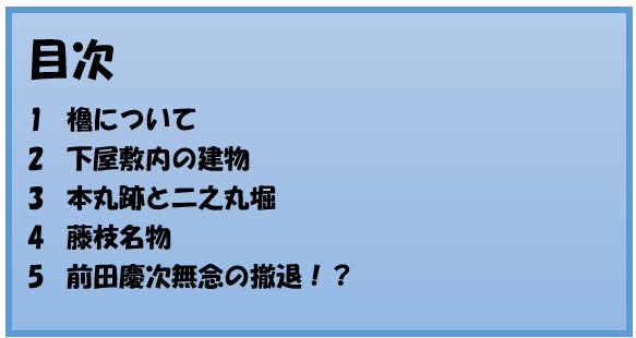 前田慶次,名古屋おもてなし武将隊