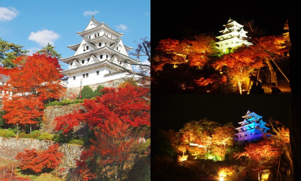 郡上八幡城もみじまつり