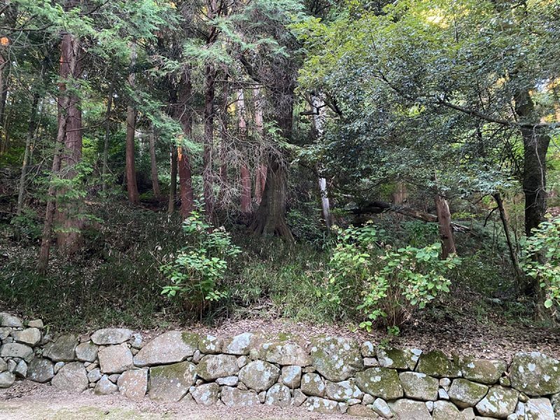 スマホアプリ、安土城